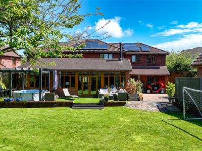 Picture 47